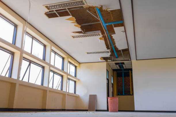 Best 24/7 water damage repair  in Vance, AL