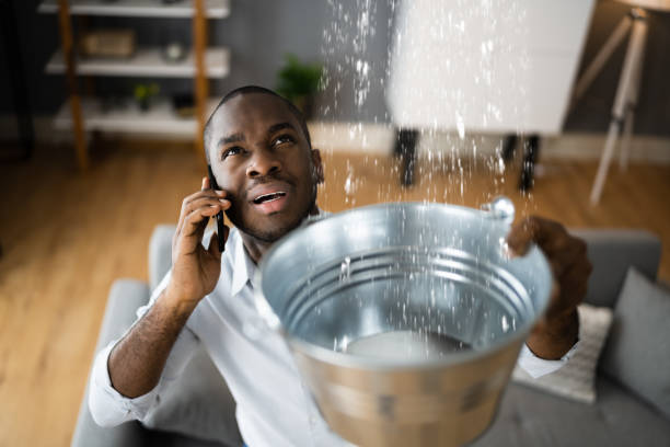 Best Water damage cleanup near me  in Vance, AL