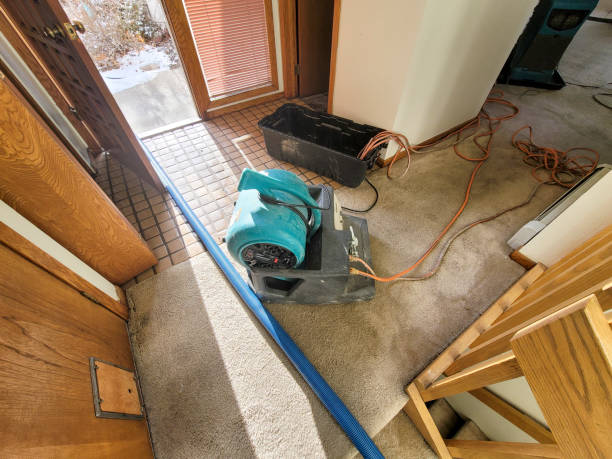 Best Water damage restoration insurance claims  in Vance, AL