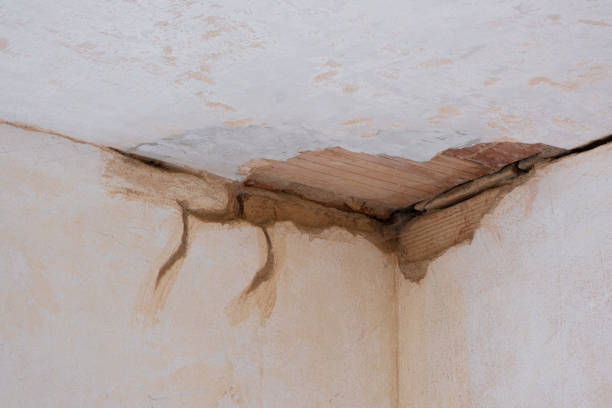 Best Local water damage restoration  in Vance, AL
