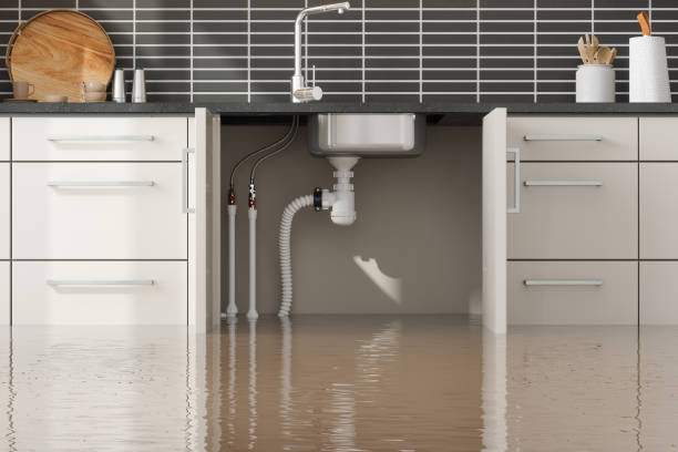 Best Commercial water damage restoration  in Vance, AL