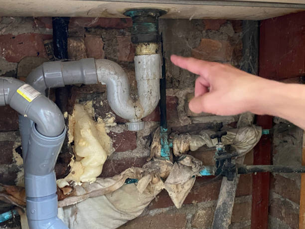 Best Fire Damage Restoration  in Vance, AL