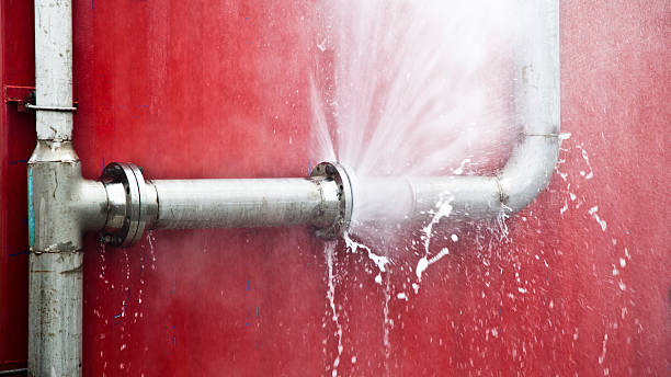 Best Water damage restoration services  in Vance, AL